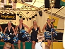 TVG-2007-DancingHornets-Kirschenmarkt-19.jpg