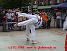 TVG-2012-Sommerfest-38.JPG