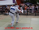 TVG-2012-Sommerfest-43.JPG