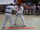 TVG-2012-Sommerfest-44.JPG
