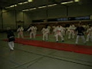 TVG-Jiu-Jitsu-Budoseminar-04.JPG