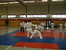 TVG-Jiu-Jitsu-Budoseminar-11.JPG