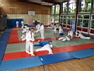 TVG-2008-Judo-04.JPG