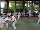 TVG-2008-Judo-09.JPG