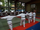 TVG-2008-Judo-15.JPG