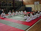TVG-JUDO-BM-KK-46.JPG